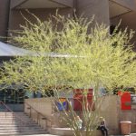 The west ticket office and entrance to the Phoenix Symphony Hall in downtown Phoenix, Arizona, February 2011. (credit: Cygnusloop99/Wikimedia, Creative Commons Attribution-Share Alike 3.0 Unported.